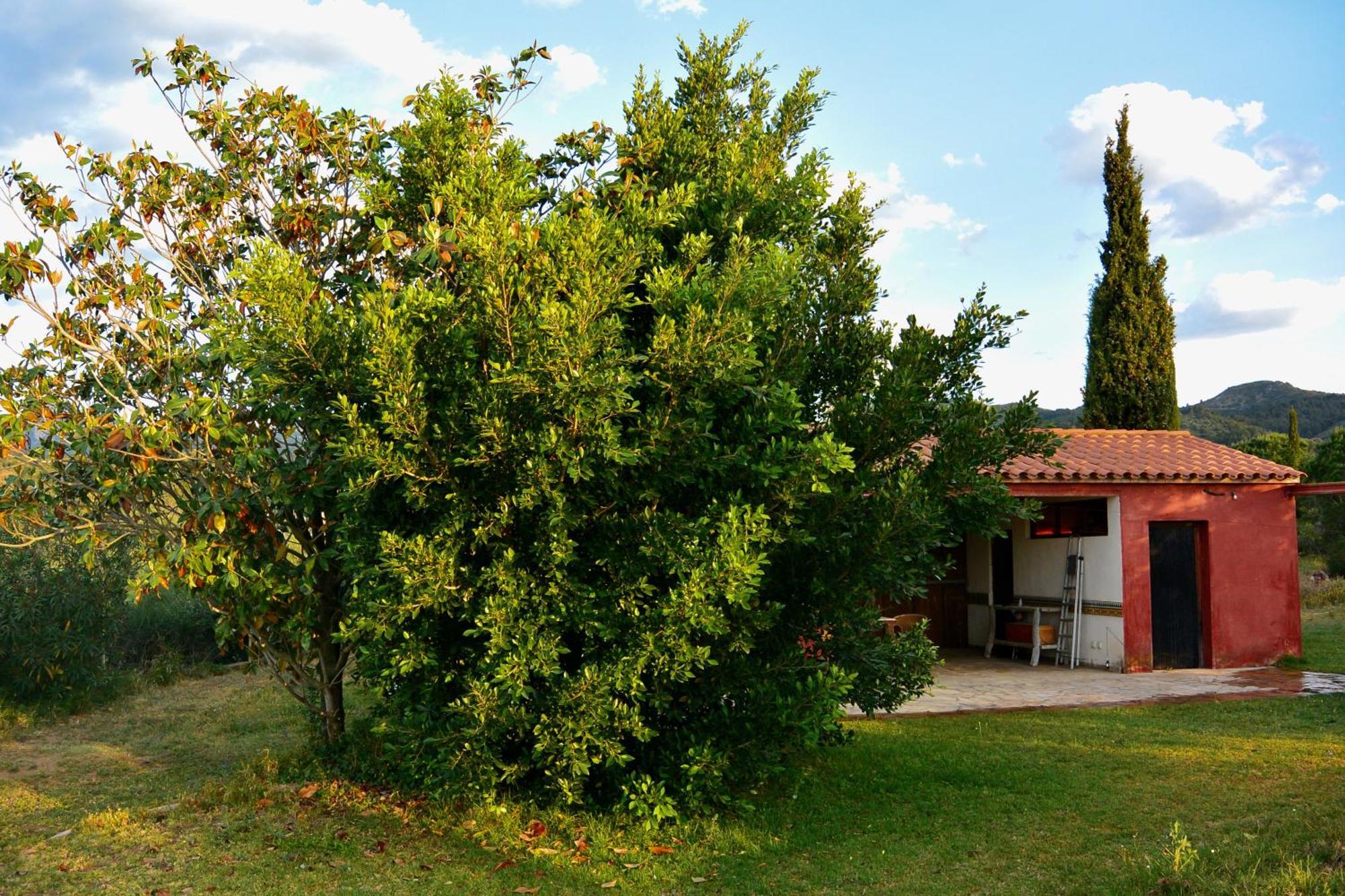 Appartement L'Albaida, Tranquility, Views Of Sea And Mountains à Vilanova de Escornalbou Chambre photo